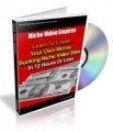 Niche Video Empires MRR Ebook