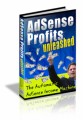 Adsense Profits Unleashed Mrr Ebook