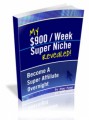 My $900 Week Super Niche Mrr Ebook