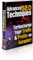 Advanced Seo Techniques PLR Ebook 