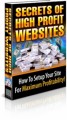 Secrets Of High Profit Websites PLR Ebook 