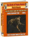 Big Book Of Puppy Names Resale Rights Ebook