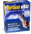 Virtual Ebiz Resale Rights Ebook