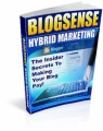 Blog Sense Hybrid Marketing Resale Rights Ebook