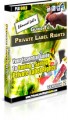 Guide To Private Label Rights : Version 2 MRR Ebook