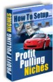 How To Setup Profit Pulling Niches MRR Ebook