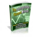 The E-Entrepreneur Success Mindset PLR Ebook