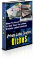 Private Label Content Riches PLR Ebook 