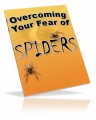 Overcoming Your Fear Of Spiders PLR Ebook 