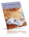 GuyS Guide To The Birthing Room PLR Ebook 