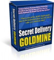 Secret Delivery Goldmine Business Plan PLR Ebook 