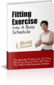 Fitting Fitness Into A Busy Schedule PLR Ebook 