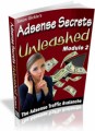 Adsense Secrets Unleashed Uncovering The Adsense Goldmine MRR Ebook