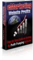 Emarketing Website Profits PLR Ebook 