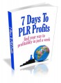 7 Days To Plr Profits Mrr Ebook
