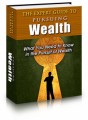 The Expert Guide To Pursuing Wealth PLR Ebook 