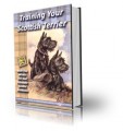 Training Your Scottish Terrier MRR Ebook