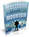 Mastering The Adwords Cash Mountain Mrr Ebook