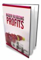 Bigger Blogging Profits Mrr Ebook