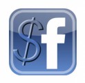 Facebook Profits Plr Articles