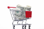 Ebay Info Profits Plr Articles