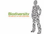 Biodiversity Plr Articles
