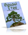 Bonsai Tree PLR Ebook