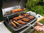 Outdoor Grilling Plr Articles