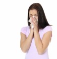 Allergy Plr Articles