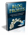Blog Profits Personal Use Ebook