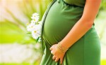 Pregnancy Plr Articles