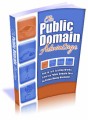The Public Domain Advantage MRR Ebook