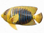 Tropical Fish Plr Articles v3