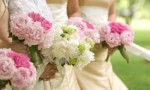 Wedding Planning Plr Articles