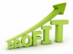 Blogging For Profit Plr Articles