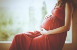 Maternity Plr Articles