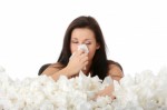 Allergies Plr Articles