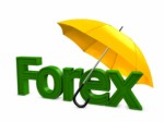 Forex Plr Articles v2