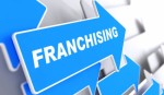 Franchise Opportunities Plr Articles