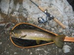 Trout Fishing Plr Articles