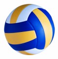 Volleyball Plr Articles