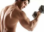 Bodybuilding Plr Articles v4