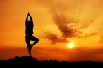 Yoga Plr Articles v6