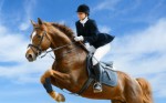 Horsemanship Plr Articles