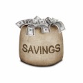Savings Plr Articles