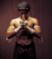 Muay Thai Plr Articles