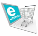E-Commerce Shopping Carts Plr Articles