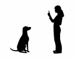 Dog Training Plr Articles v4