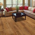 Laminate Flooring Plr Articles