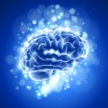 Brain Training Plr Articles